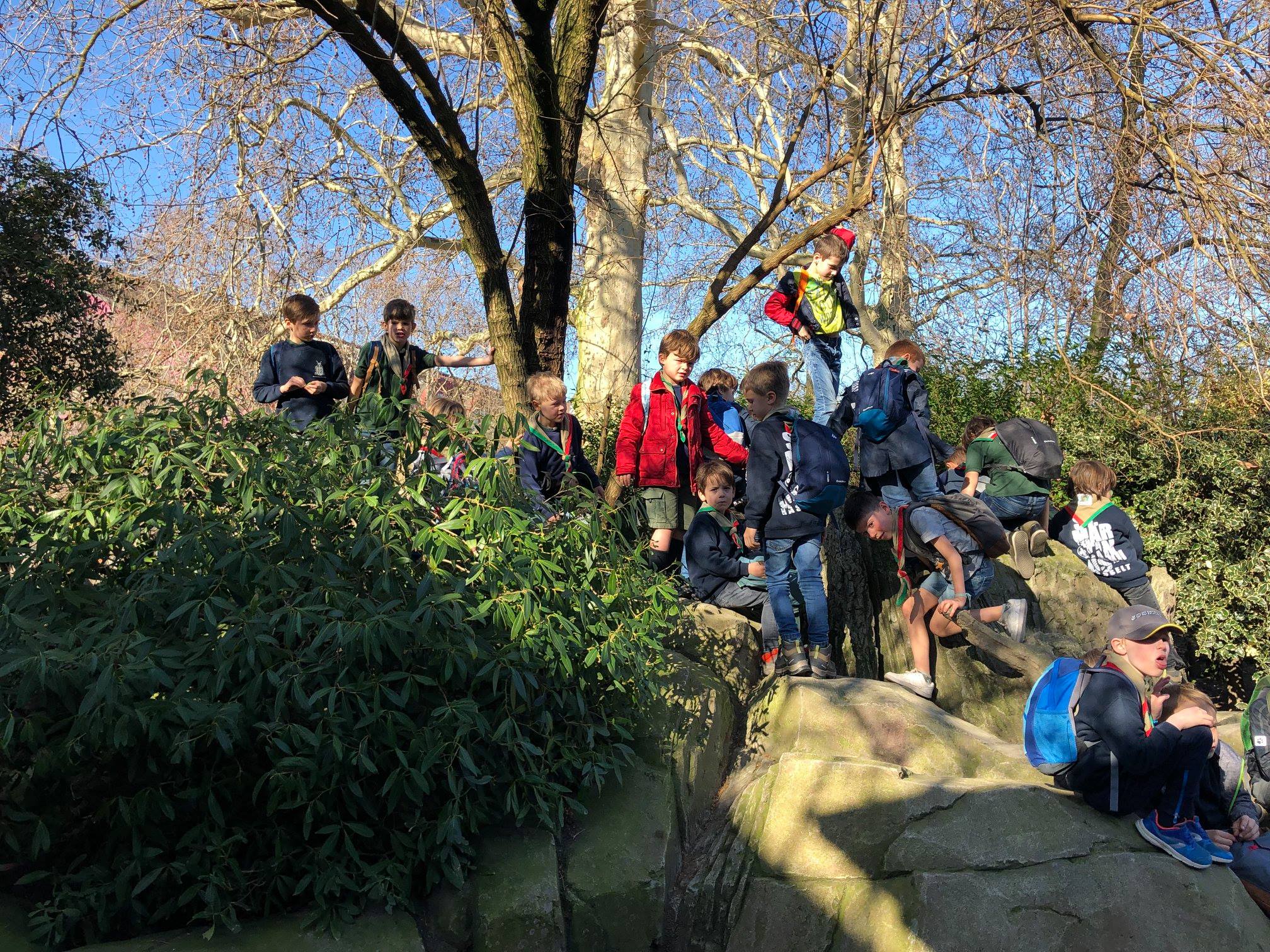 Sint-Martinus den XIIde - Zoo Antwerpen Kapoenen